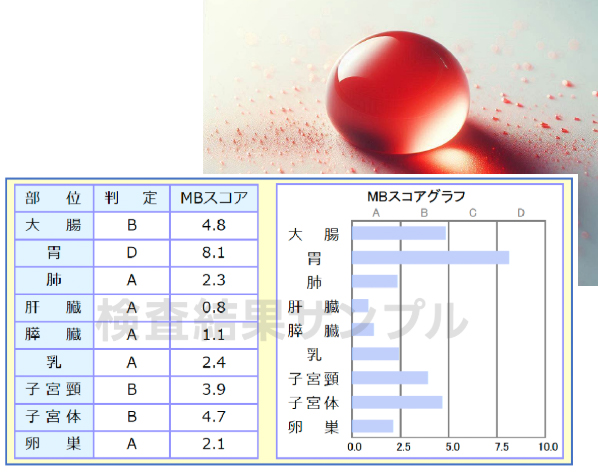 検査結果サンプル