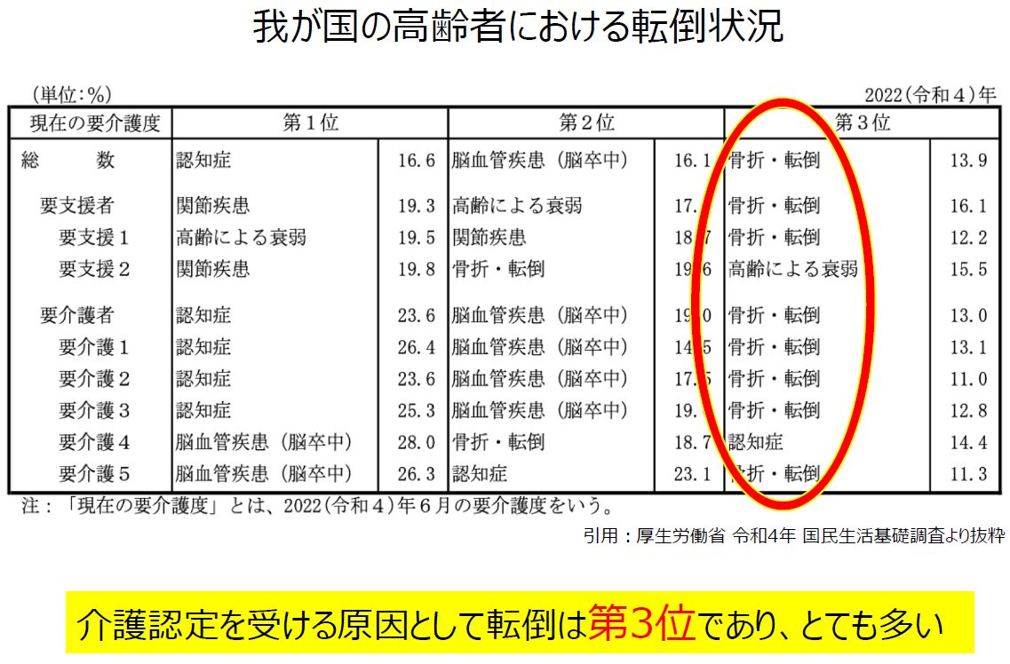 我が国の⾼齢者における転倒状況